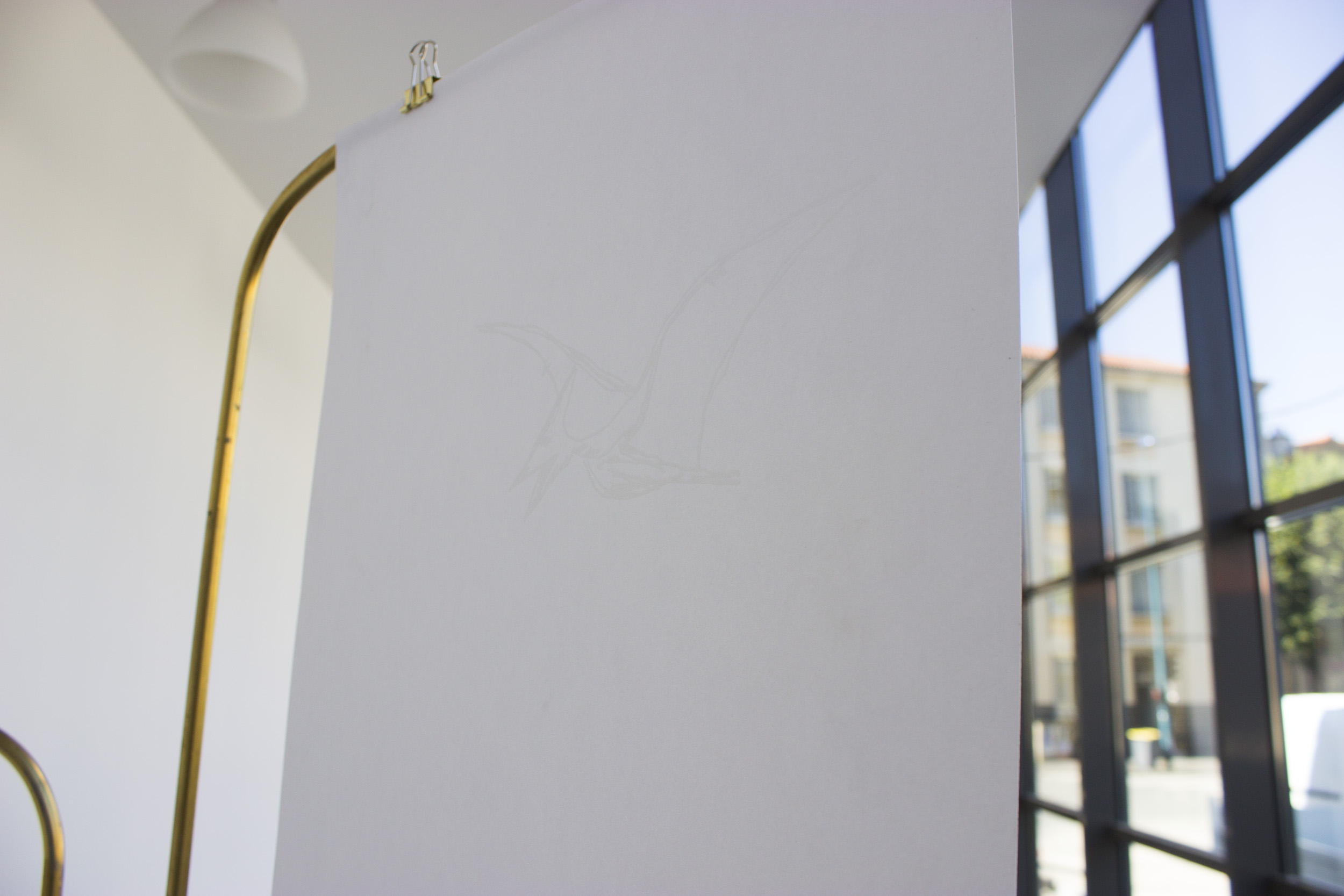 Sur une des feuilles, on voit une sérigraphie de ptérodactyle en blanc sur blanc.